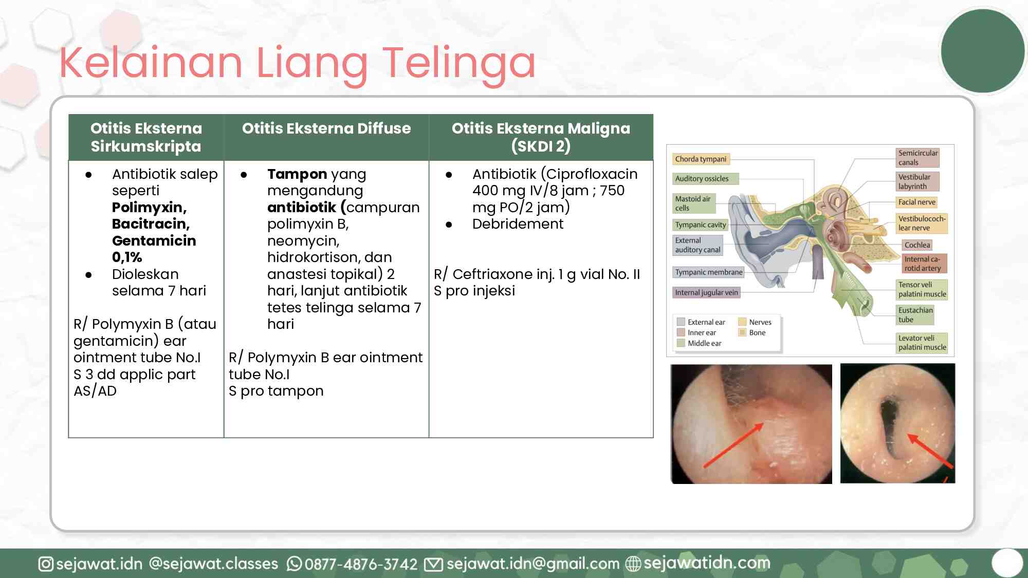 [november-2024]-kelas-internship_primary-care-1.pptx-411